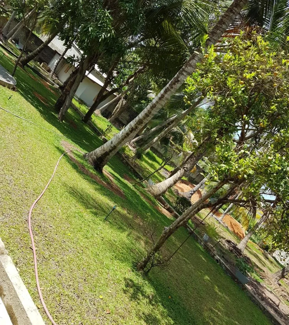 Ferienwohnung Dill's Annex Negombo Apartment